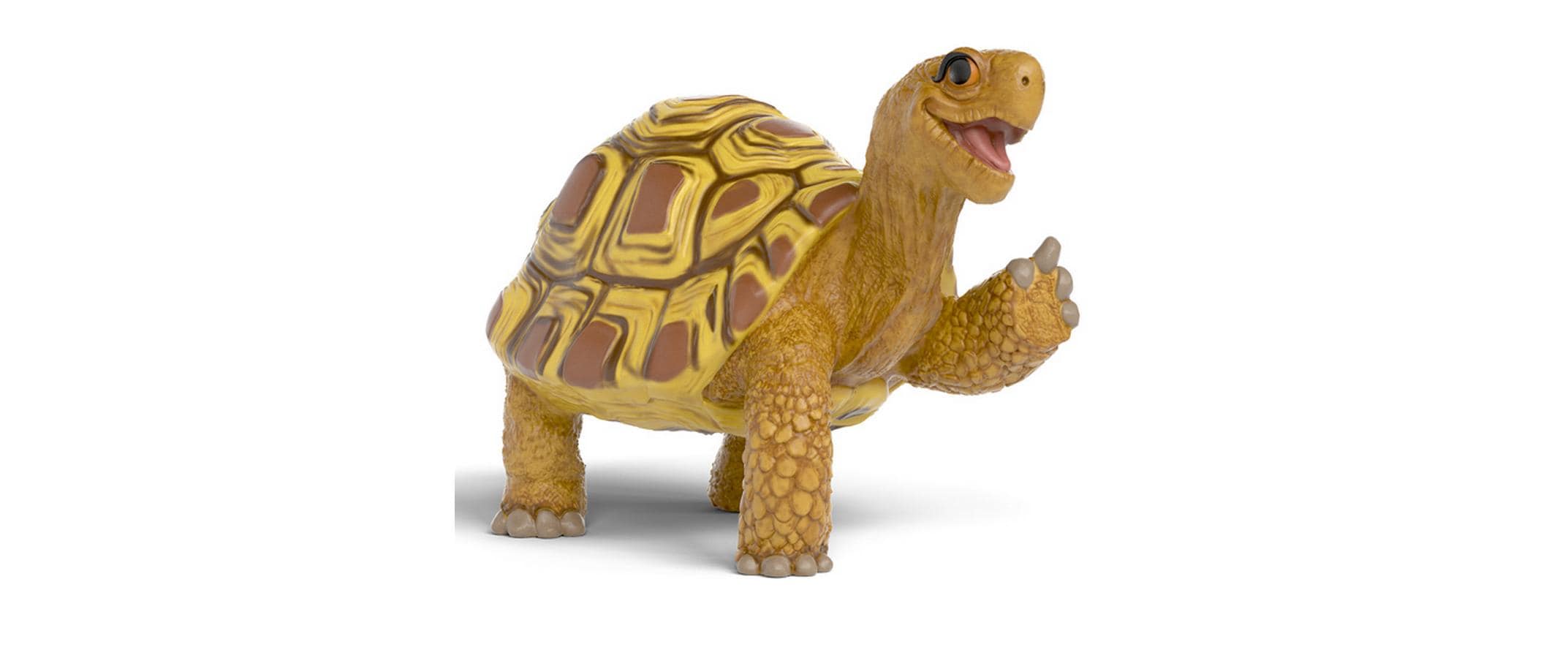Henrietta die Schildkröte SDMT