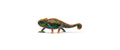 Schleich Chamäleon Wild Life