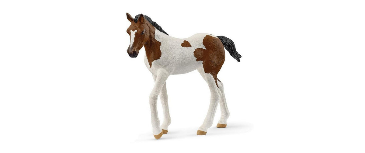 Schleich Paint Horse Fohlen Horse Club