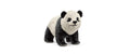 Schleich Grosser Panda Junges Wild Life