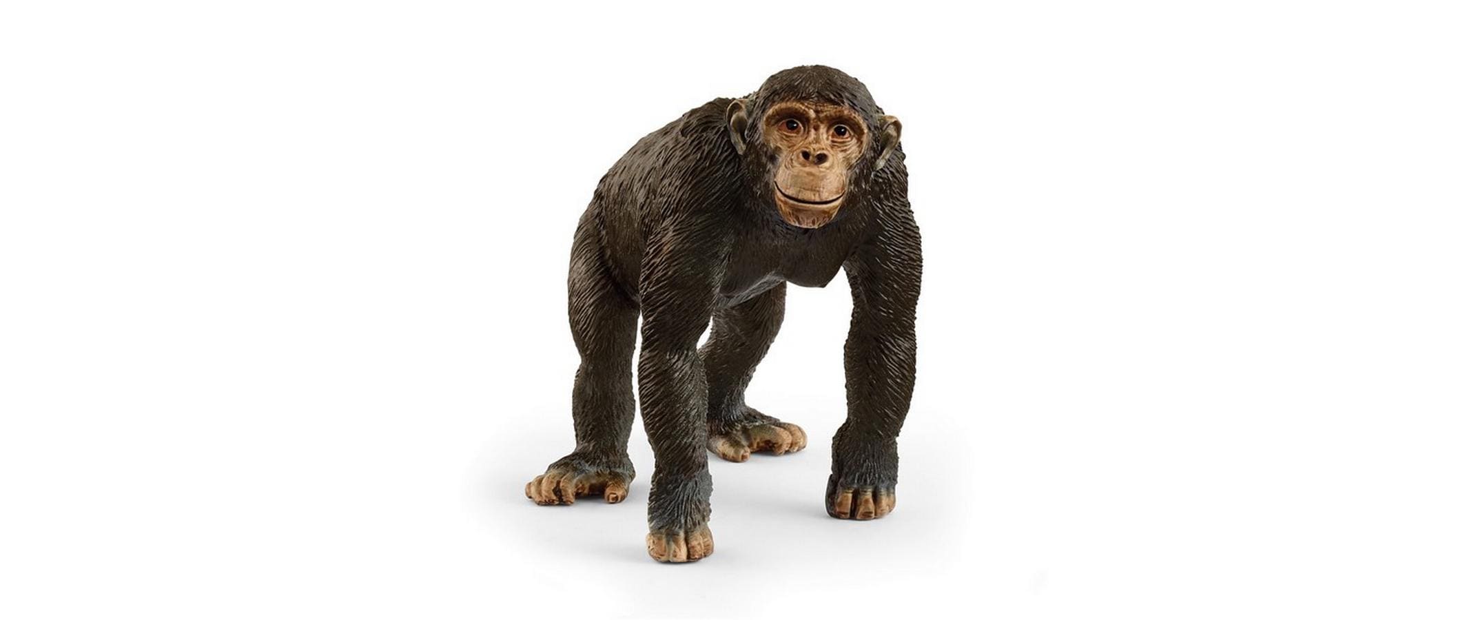 Schleich Schimpanse Wild Life