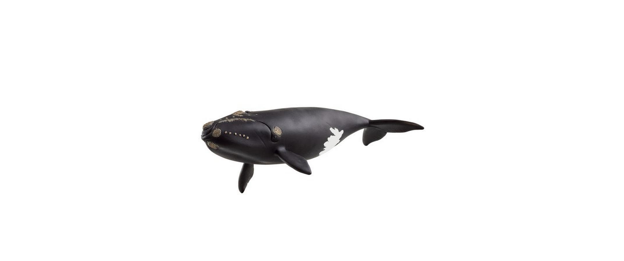 Schleich Nordatlantischer Glattwal Wild Life