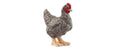 Schleich Plymouth Rock Huhn Farm World