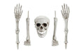 Partydeco Skelett Einzelteile 5-teilig, Material: 99% PP, 1% Eisen