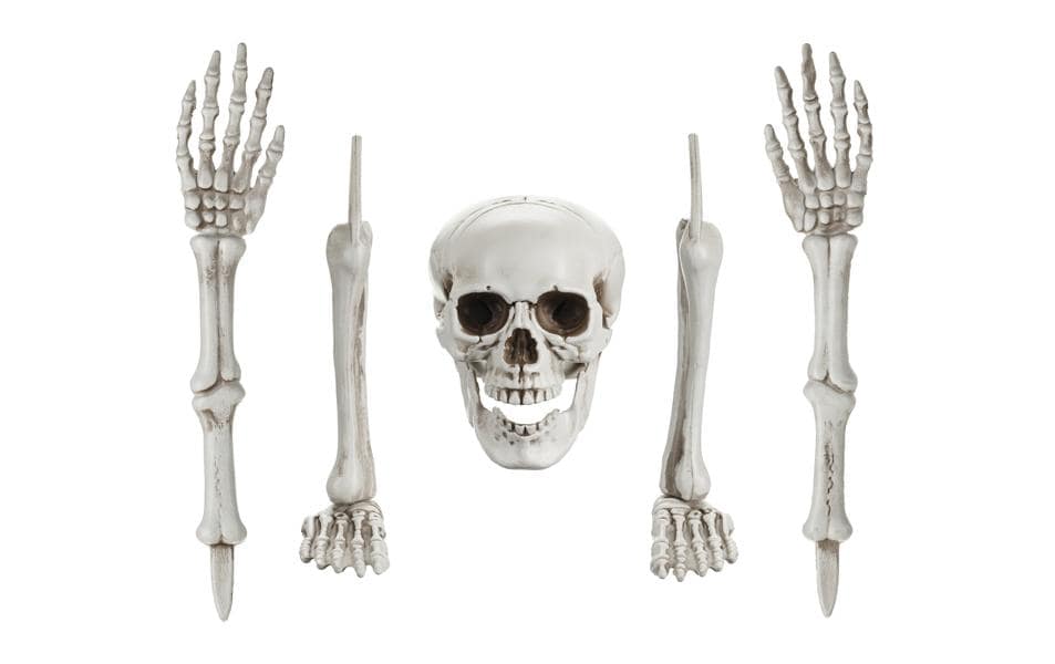 Partydeco Skelett Einzelteile 5-teilig, Material: 99% PP, 1% Eisen