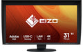 EIZO Color Edge CG3100X, 30.5"