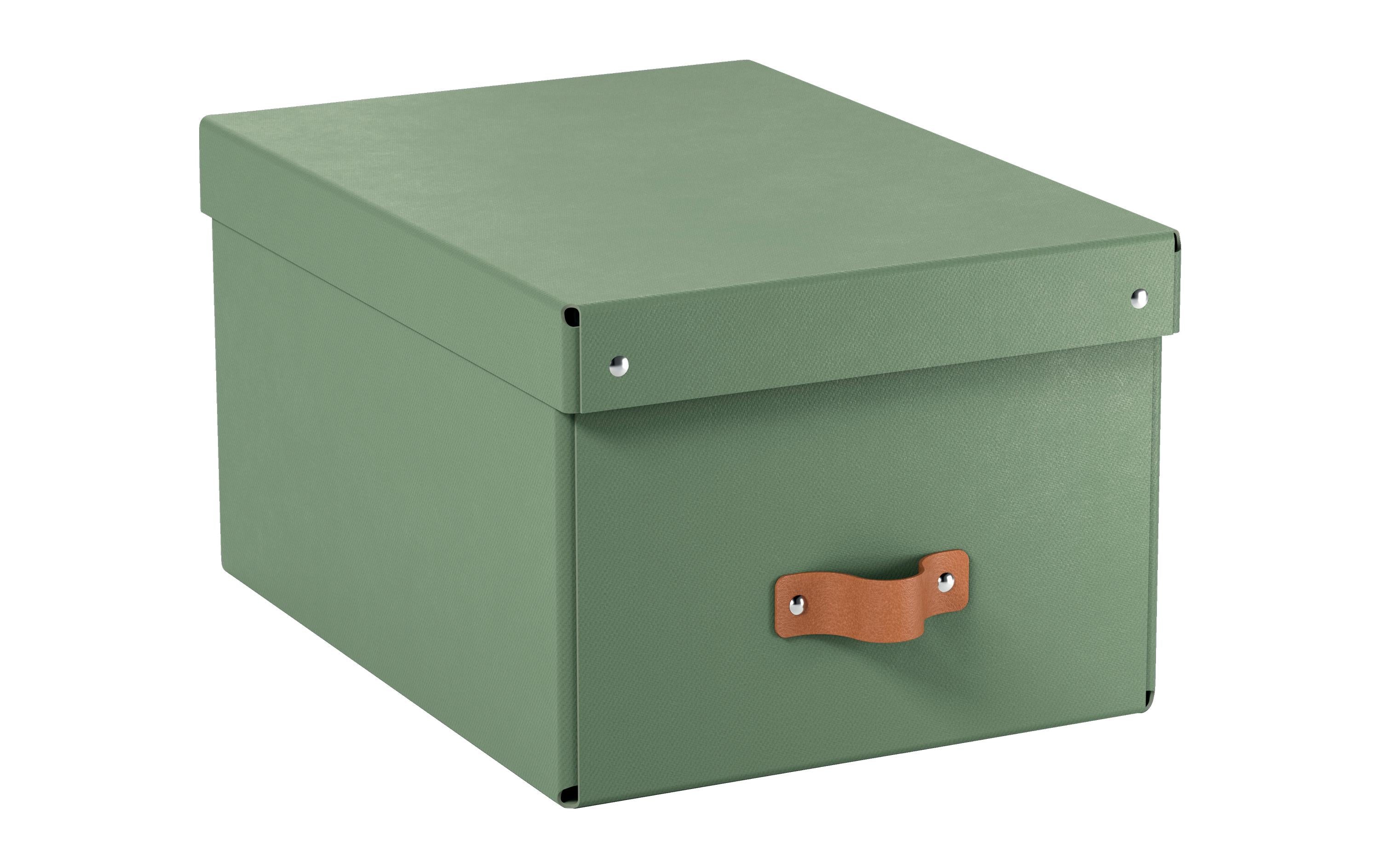 Leitz Arrchivbox Puro mittel mit Klappdeckel, hellgrün, 2 Stk.