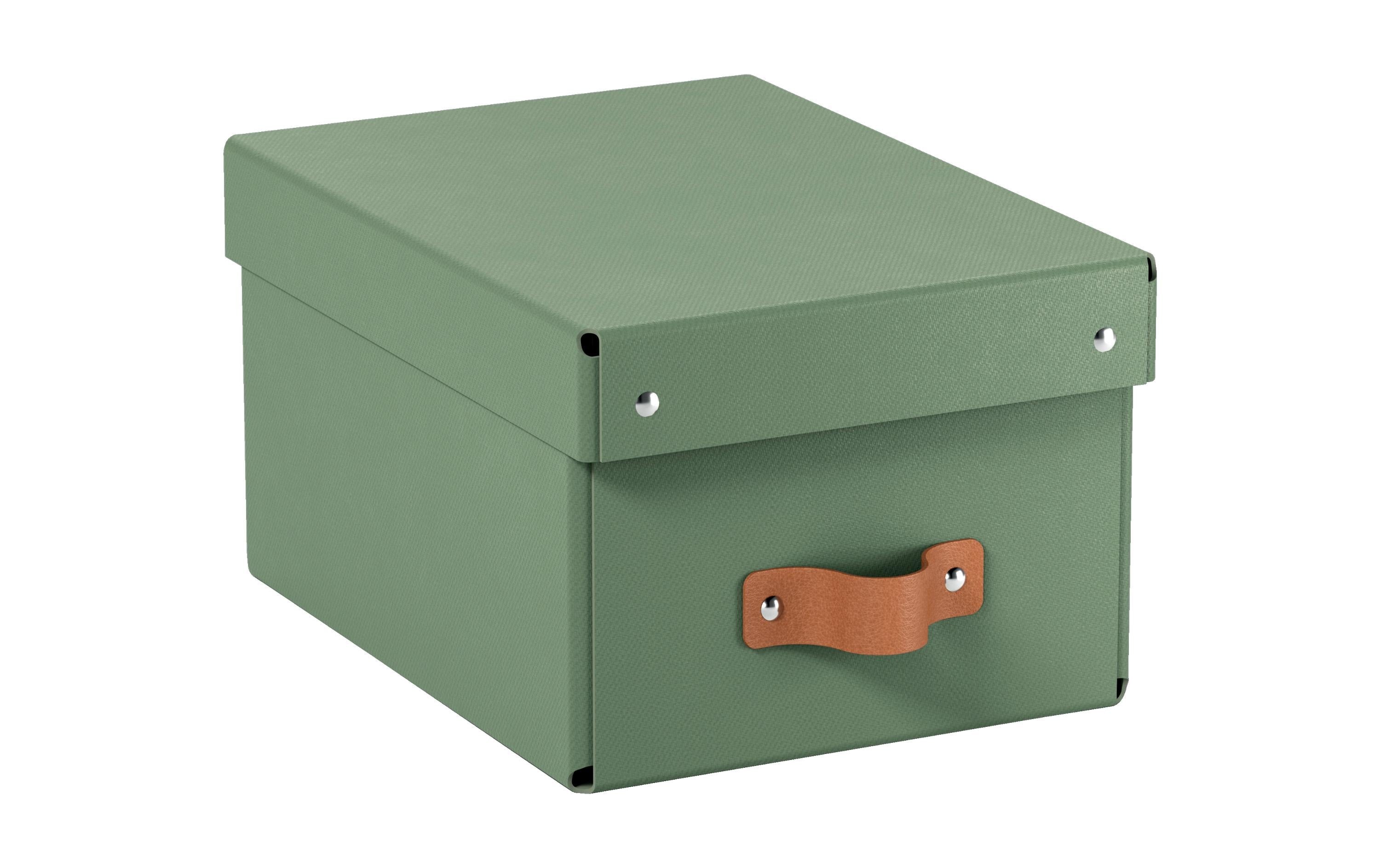 Leitz Arrchivbox Puro klein mit Klappdeckel, hellgrün, 2 Stk.