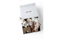 Oykami Geschenkbox Rosa Paris Hase Weiss