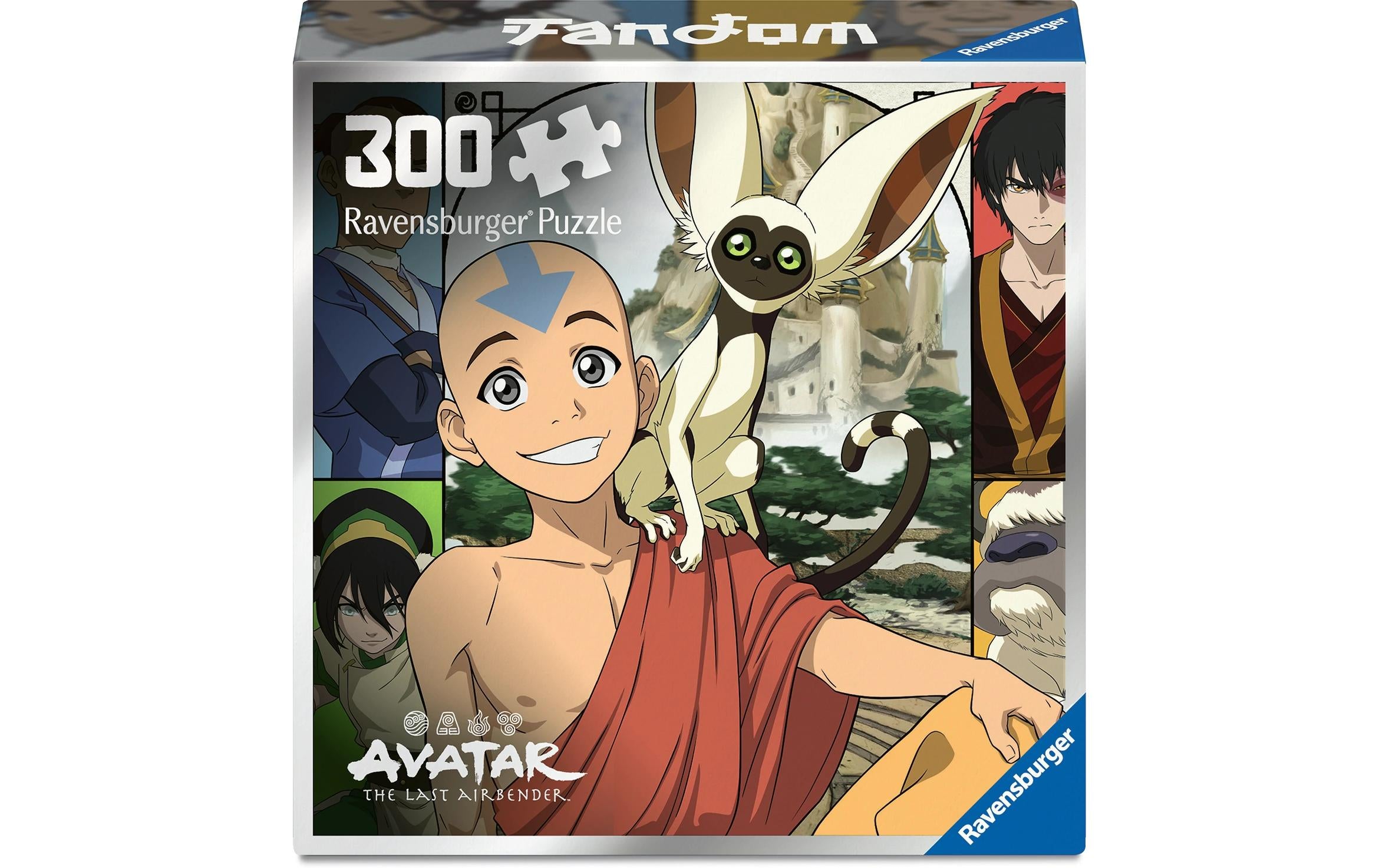 Avatar The Last Airbender     300p Ab 8 Jahre