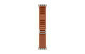 Apple AlpineLoop Natural Titanium Finish 49mm, Terra Cotta, Medium
