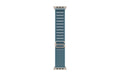 Apple AlpineLoop Natural Titanium Finish 49mm, Light Blue, Medium