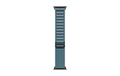 Apple AlpineLoop Black Titanium Finish 49mm, Light Blue, Small