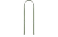 Apple Crossbody Strap Green