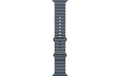Apple OceanBand 49mm AnchorBlue Natural Titanium Finish