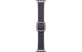 Apple Modern Buckle 42mm Midnight Purple  Small