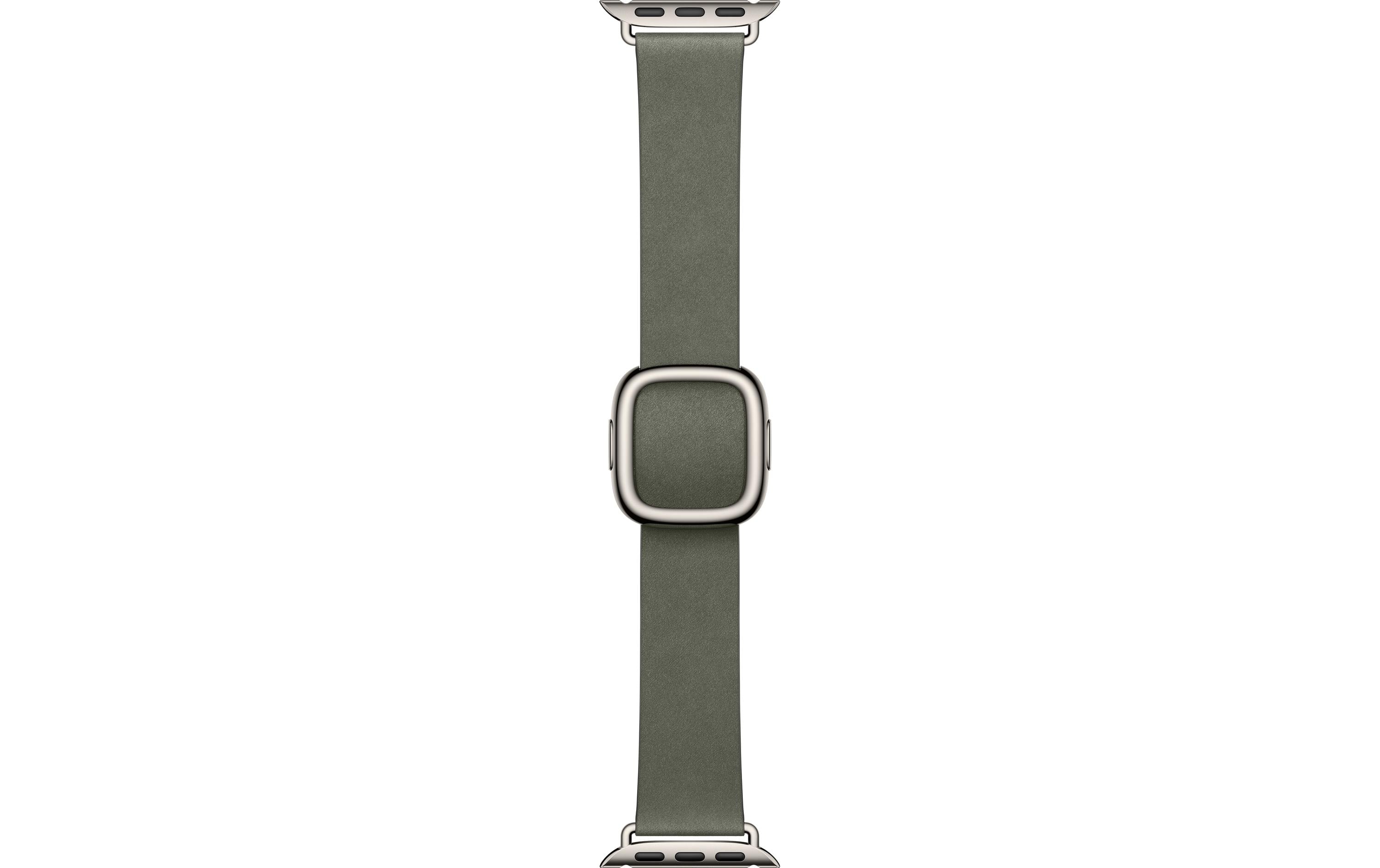 Apple Modern Buckle 42mm Sage Gray  Large