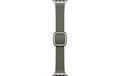 Apple Modern Buckle 42mm Sage Gray  Small