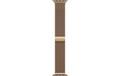 Apple MilaneseLoop 40mm Gold