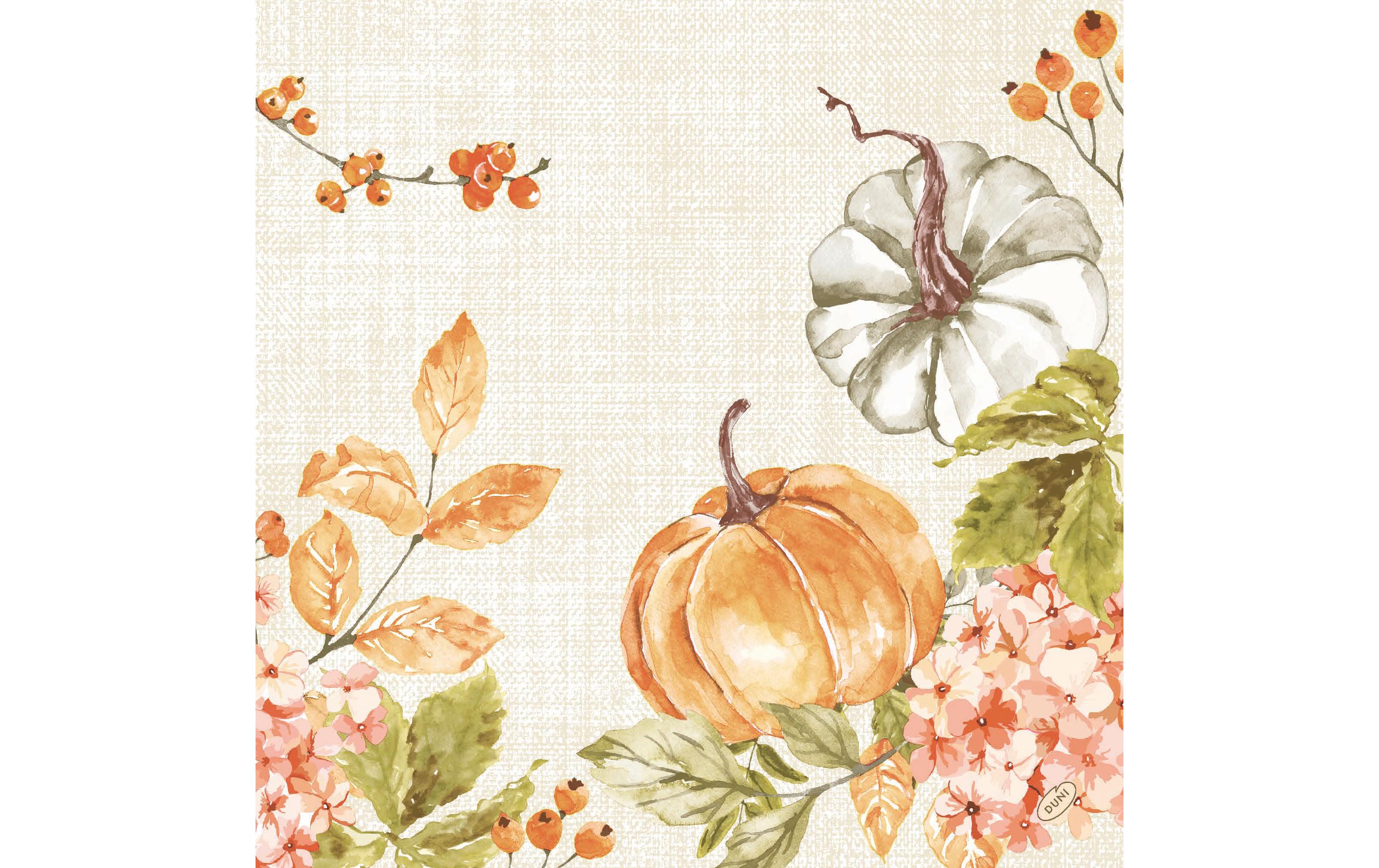 Duni Servietten Bio DSF Spicy Pumpkin 40x40cm, 60 Stück