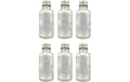 Hermia Einmachflasche 30 ml 6 Stück Glas, grauer Deckel