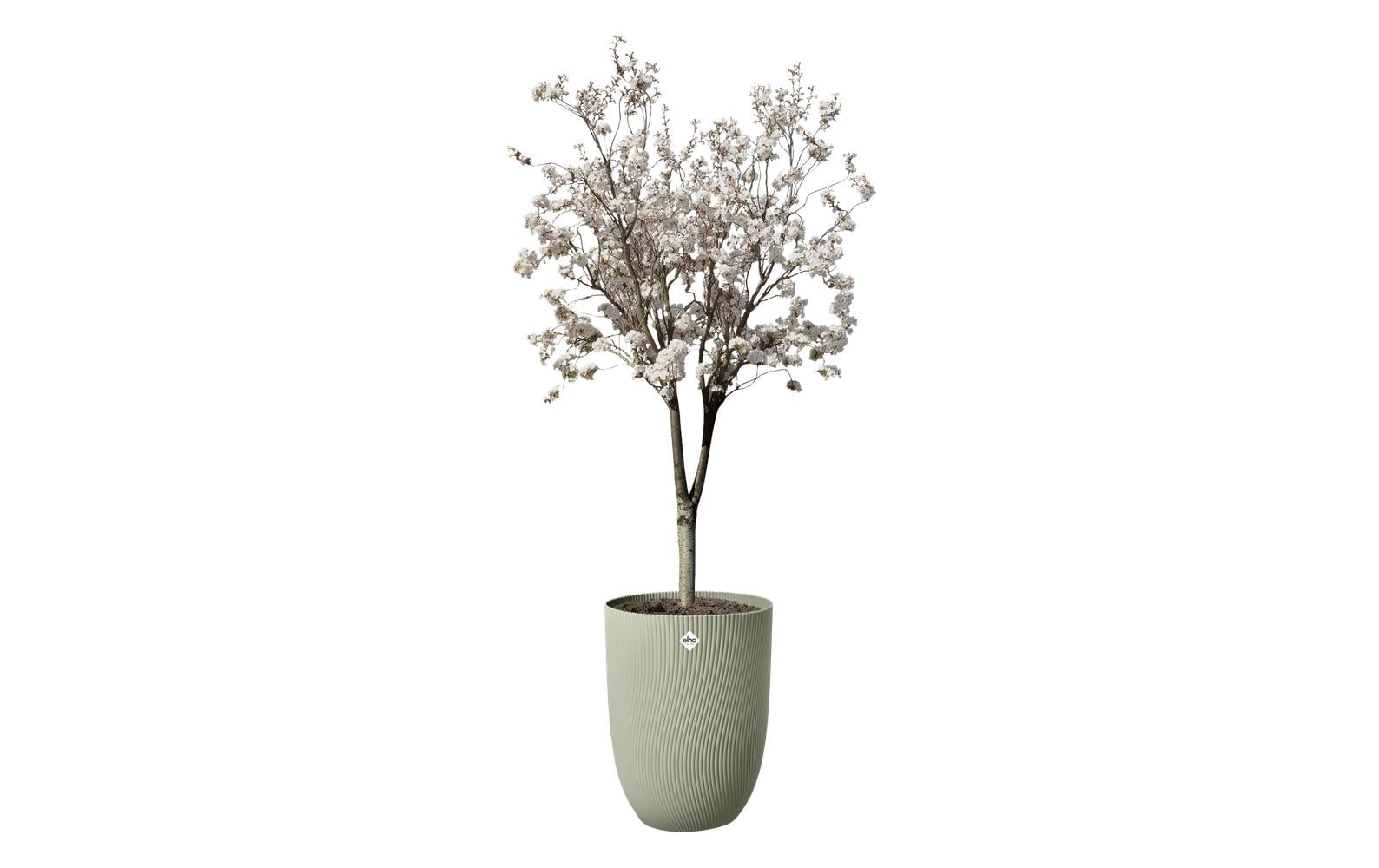 Sereh Hoch 40 - Grün - Ø 39 x H 53