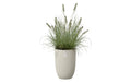 Sereh Hoch 30 - Beige - L 30 x B 29.5