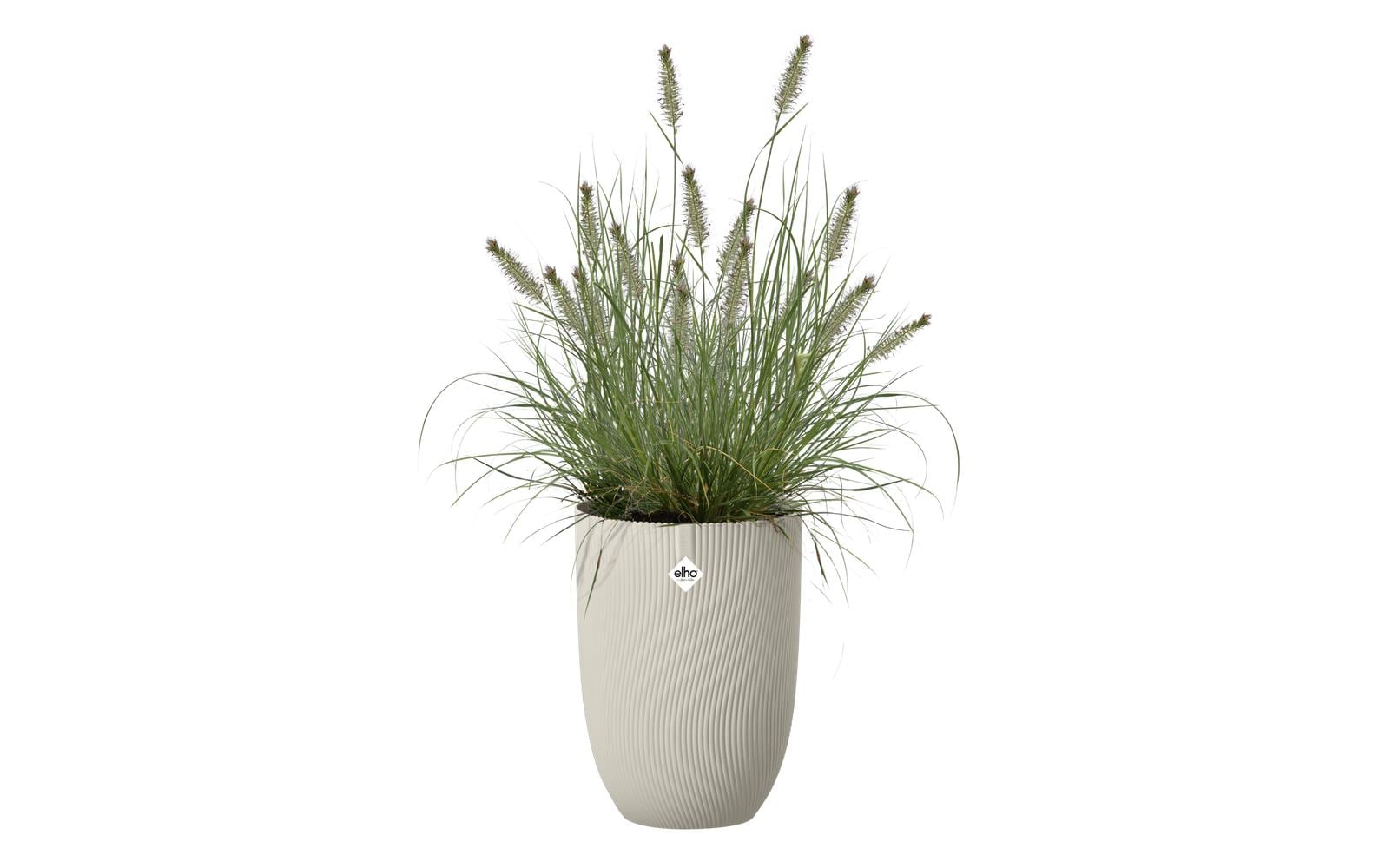Sereh Hoch 30 - Beige - L 30 x B 29.5