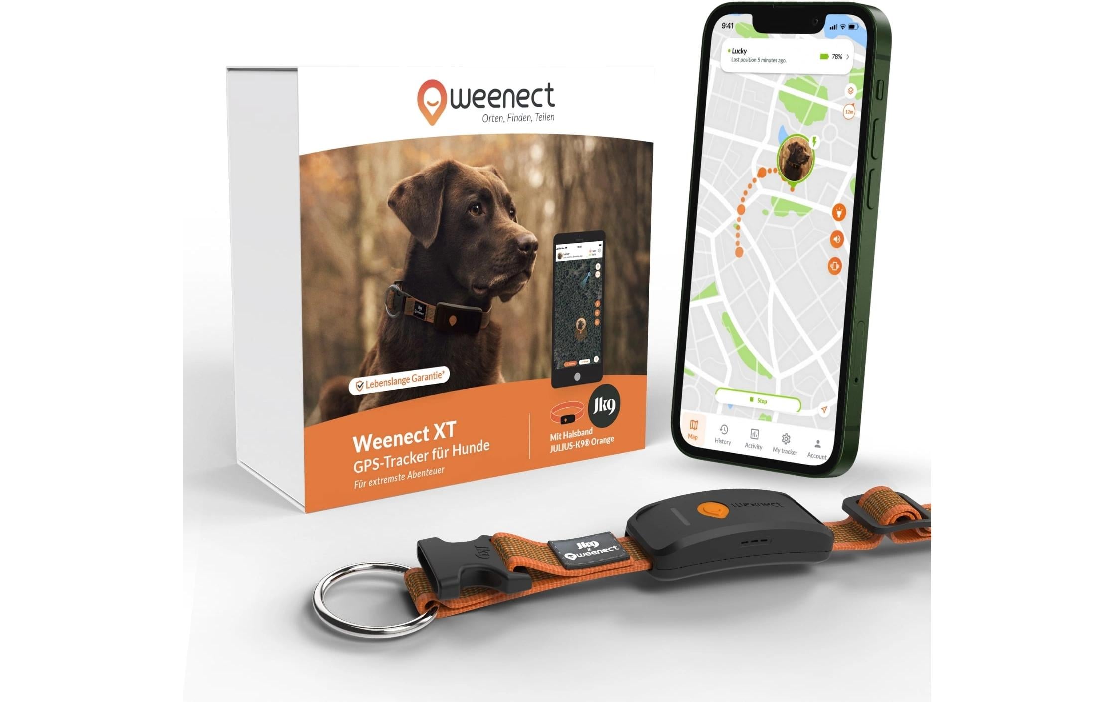 Weenect GPS-Tracker für Hunde XT inkl. Halsband 37,5 bis 56,5cm, orange
