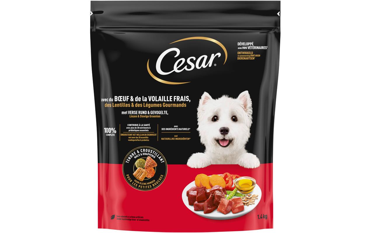 Cesar Hunters Platter Rind 1.4kg