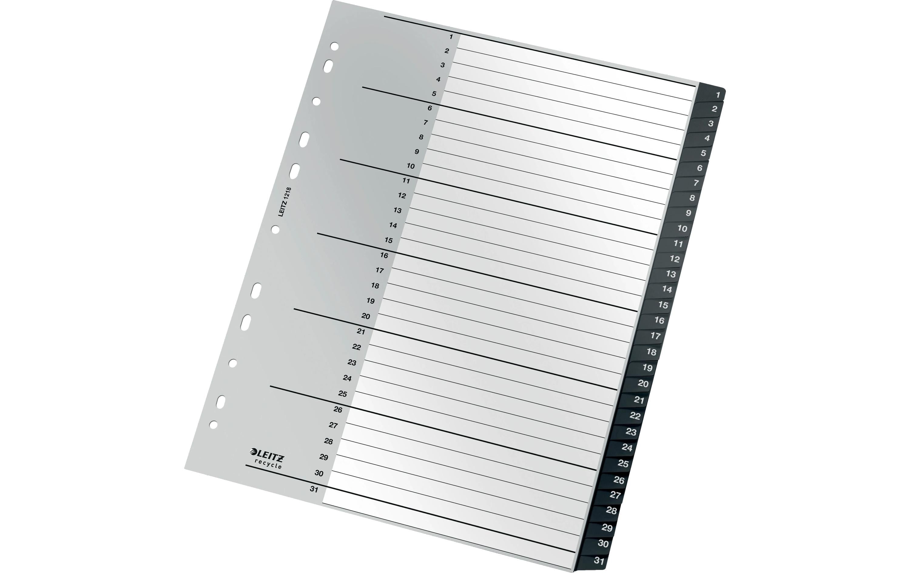 Leitz  Recycle PC-beschriftbares Register PP, A4, 1-31