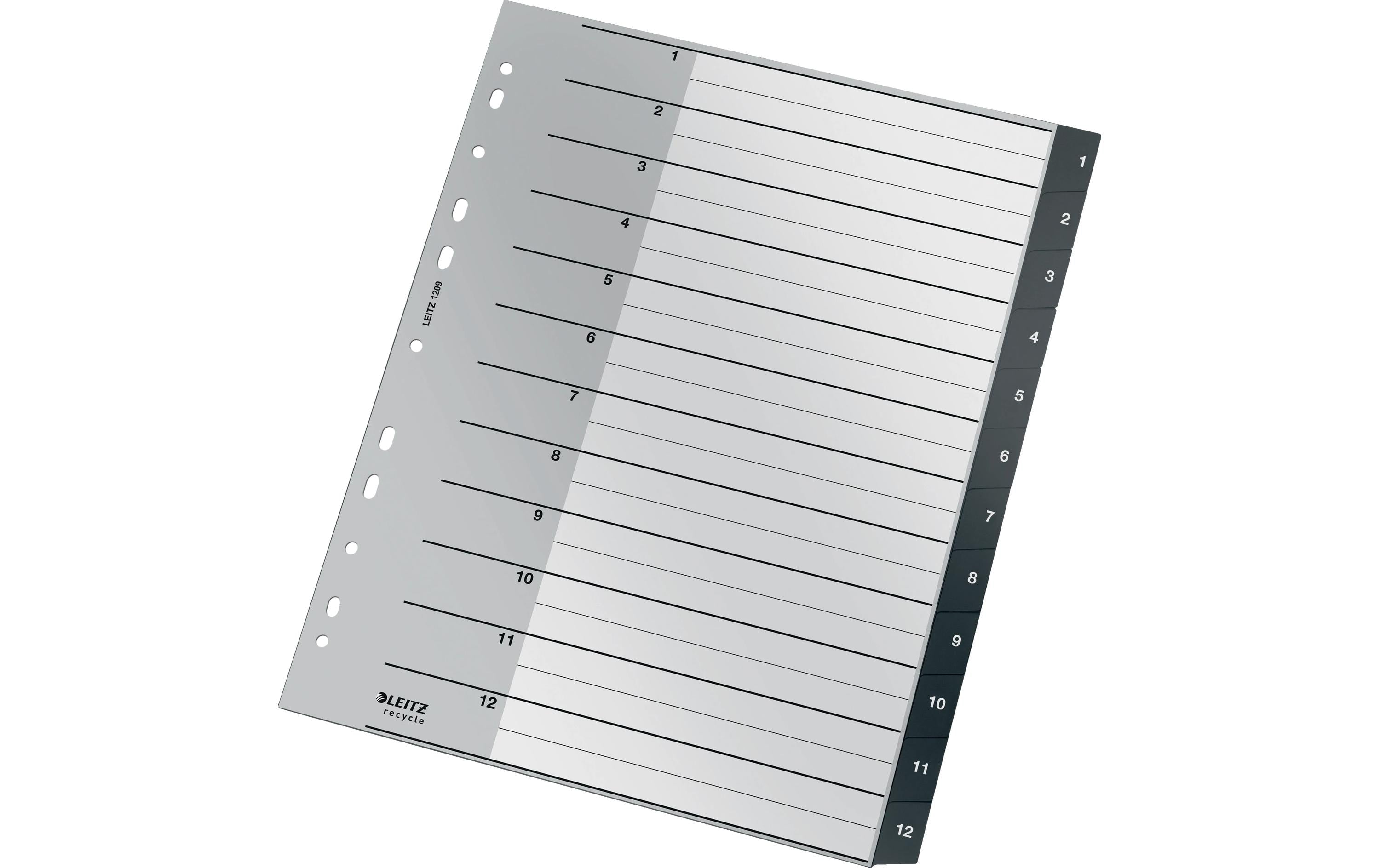 Leitz  Recycle PC-beschriftbares Register PP, A4, 1-12