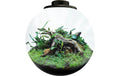 BioArt Pflanz-Terrarium Bowl 225 mit LED Schwarz, 22.5x22 cm, 5V-7W,344Lm