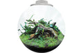 BioArt Pflanz-Terrarium Bowl 225 mit LED Weiss, 22.5x22 cm, 5V-7W,344Lm