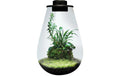 BioArt Pflanz-Terrarium Drop 285 mit LED Schwarz, 28.5x20 cm, 5V-7W,344Lm