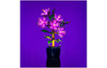 10372 Hibiskus LMB 2.0