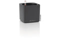 CUBE 16 Gefäss mit Bewasserung system