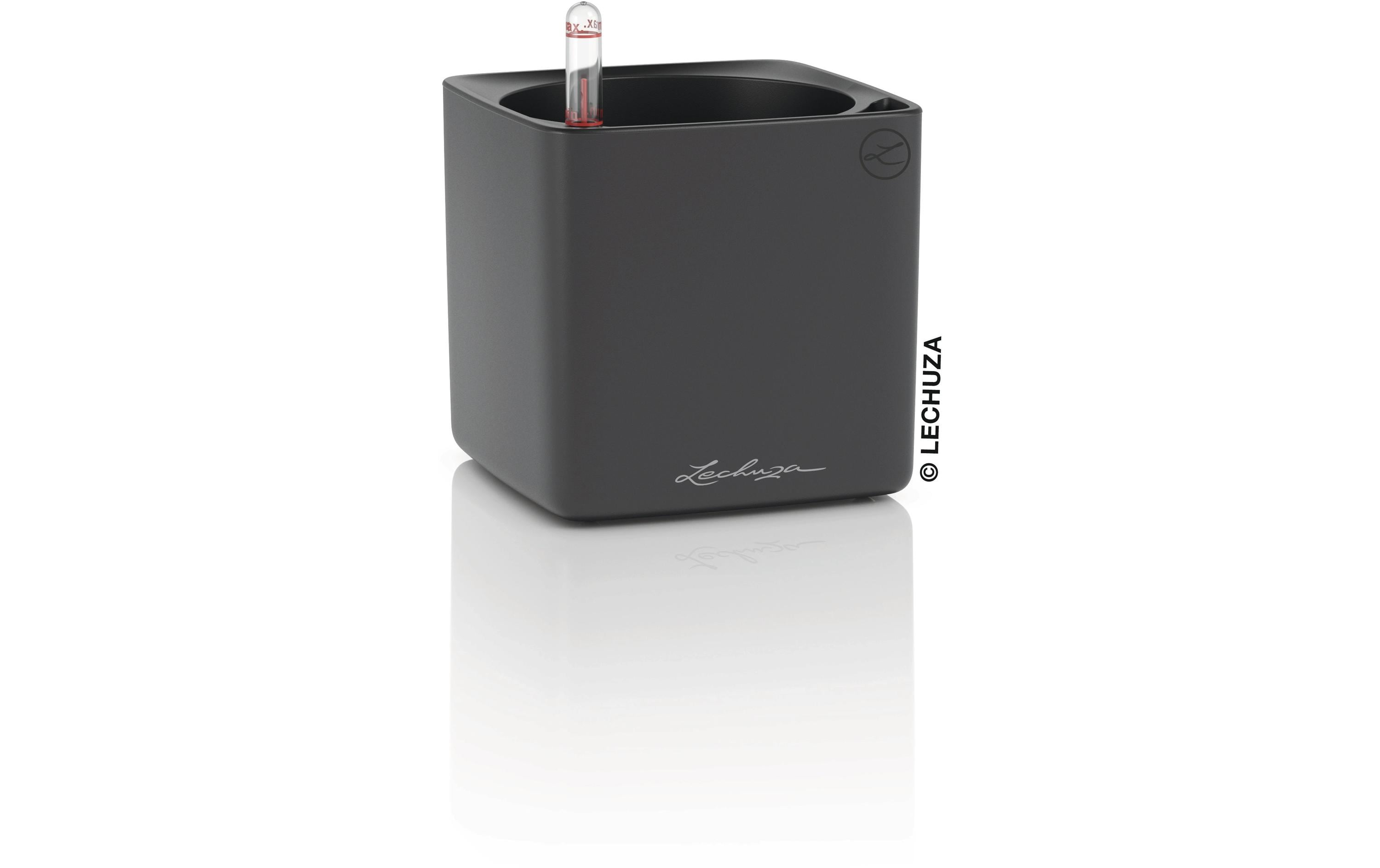 CUBE 16 Gefäss mit Bewasserung system
