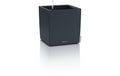 CUBE Color 30 Gefäss mit Bewasserung system
