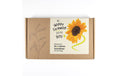 AnzuchtMy Happy Flowers 5 Sorten Sonnenblumen