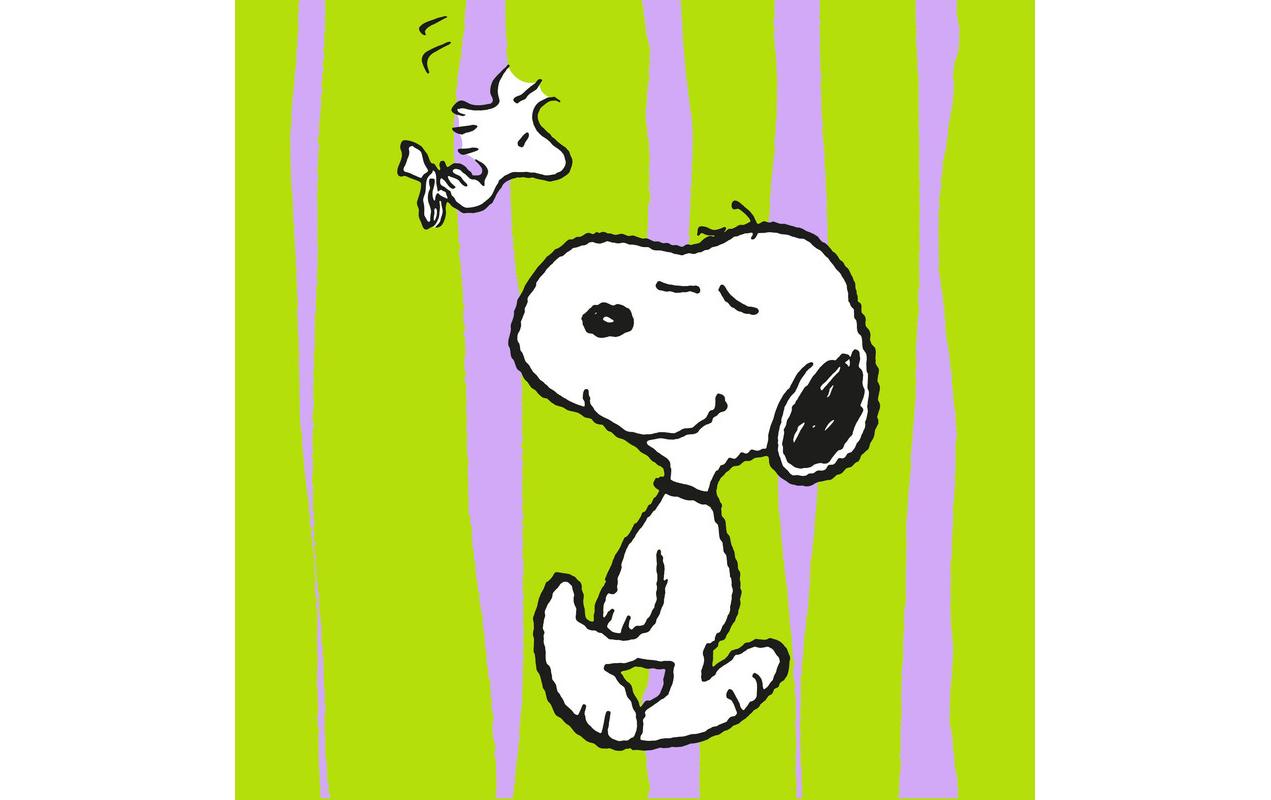 B+C Servietten Pop Snoopy grün Grösse 33x33cm, 20 Stück, 3-lagig