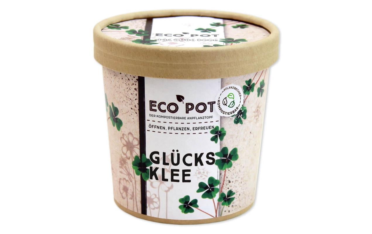 Glücksklee EcoPot