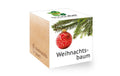 Weihnachtsbaum Ecocube