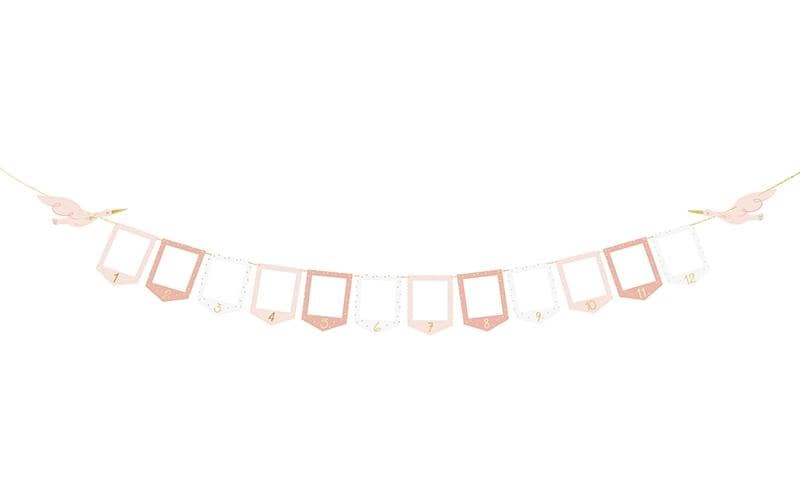 Partydeco Fotogirlande Storch rosa,  10.5x15 cm, 3 m
