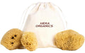 HERA Organics Menstruationsschwamm, Gr. S 3er Set, Naturschwamm, Zero Waste
