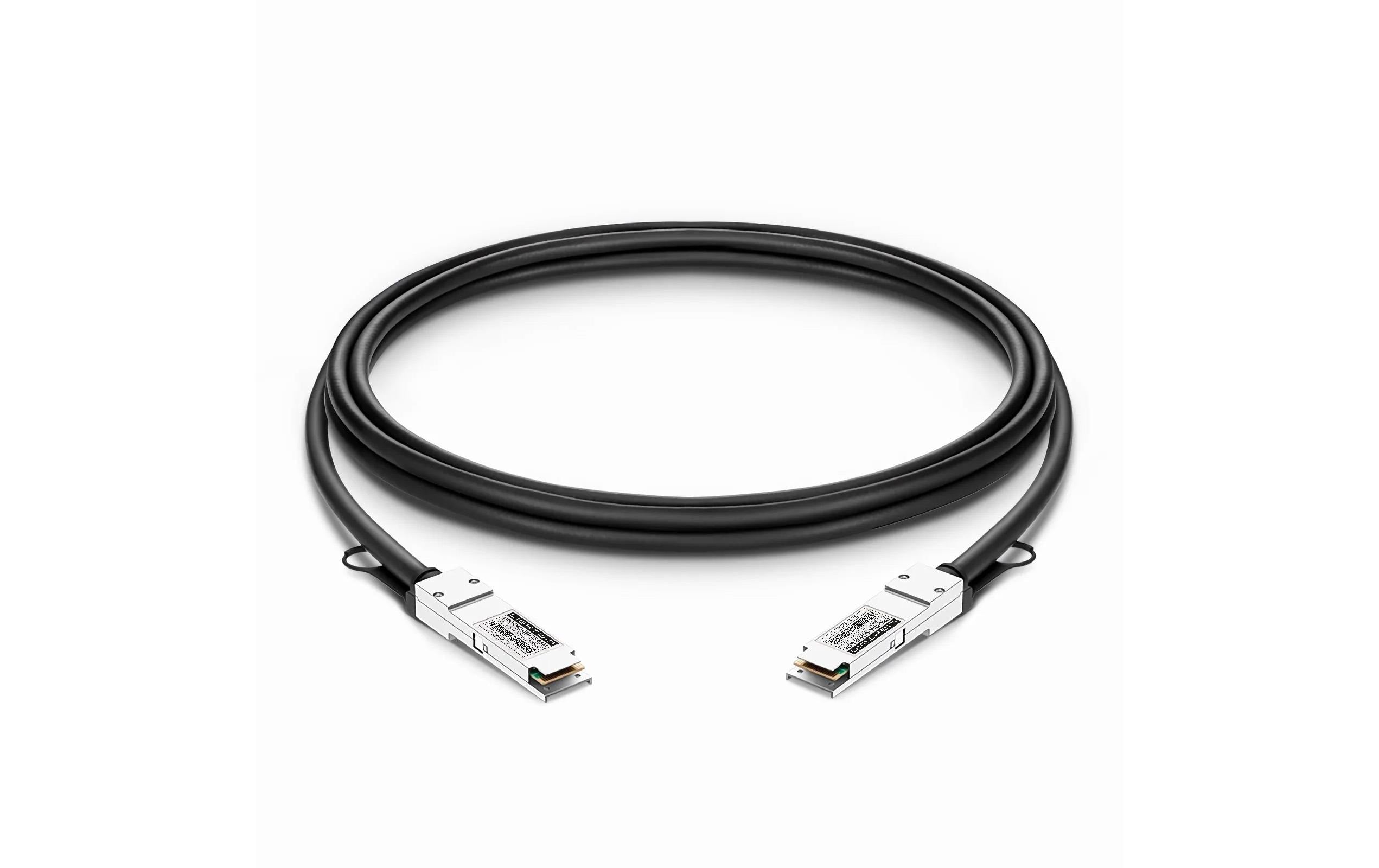 Lightwin Optics DA-Kabel, 50cm, passiv QSFP28, 100GE