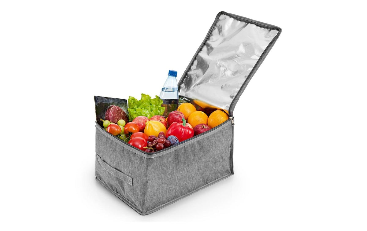 EASYmaxx Kühltasche 21l grau