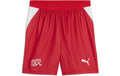 PUMA Shorts SFV Replica Grösse: L