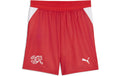 PUMA Shorts SFV Replica Jr Grösse: 176