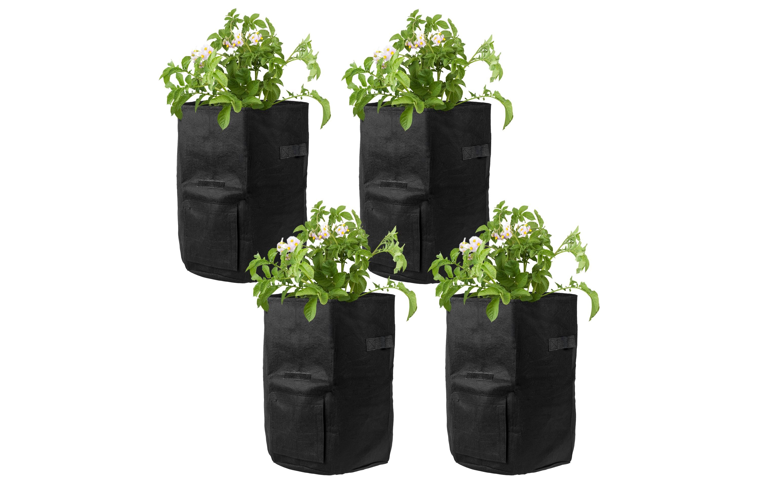 STRUCT Pflanzentasche 4er Set Filz schwarz, 35x35x40cm
